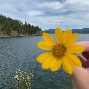 Meet your Posher, Cara